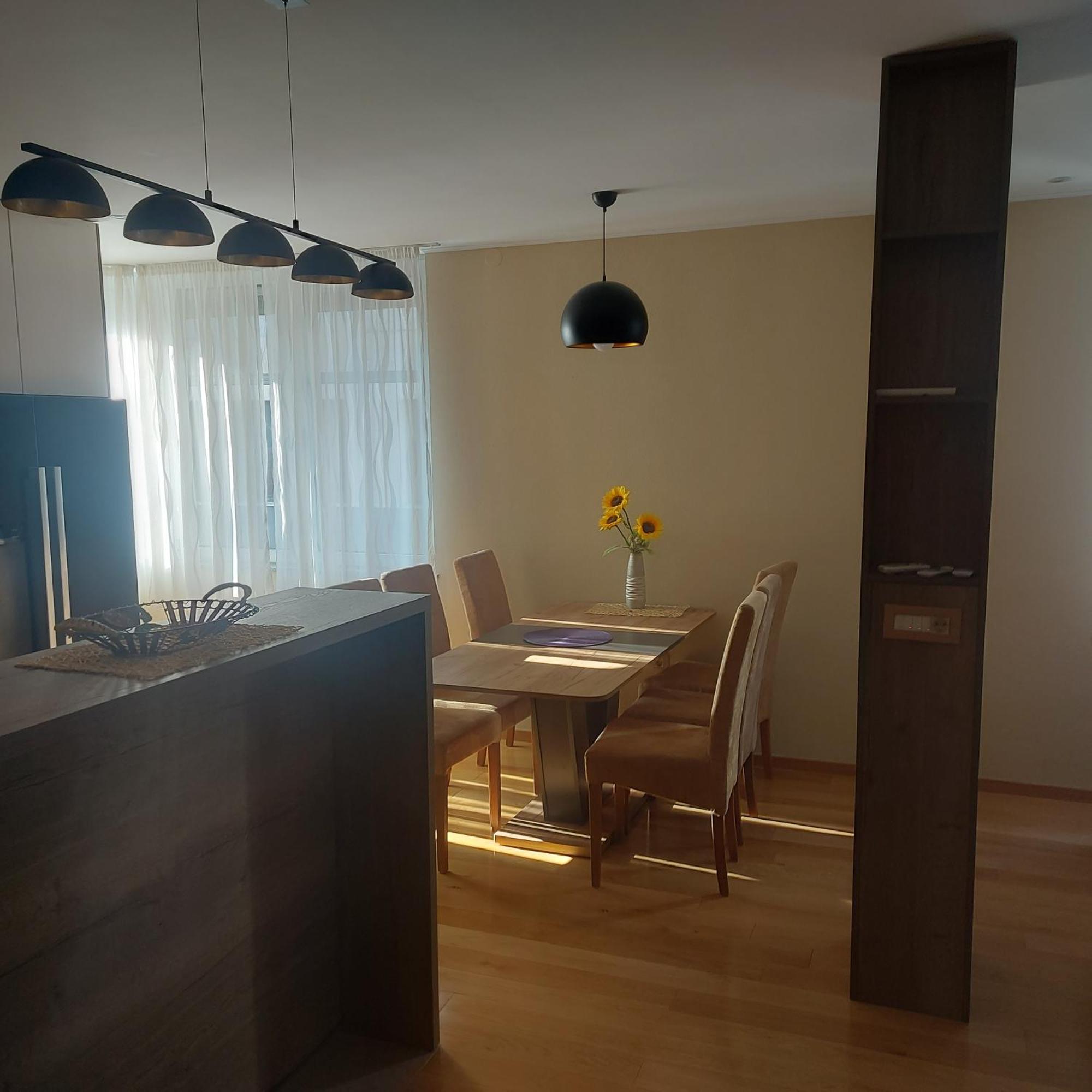 Apartman Centar Bulevar Ex Sa Garazom 巴尼西卢卡 外观 照片